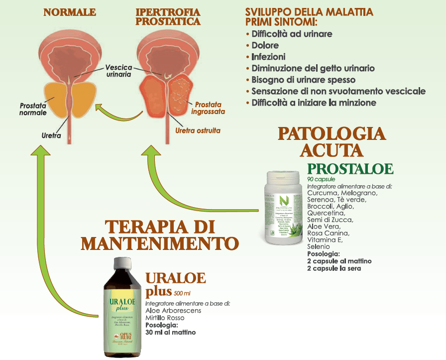 Prostaloe, Integratore Naturale per l'Infiammazione alla Prostata